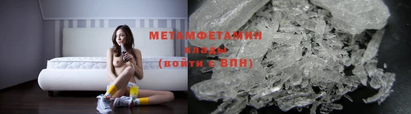 прущие грибы Нефтекумск