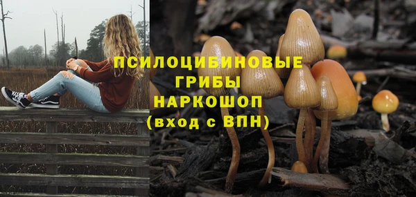 тгк Алексин