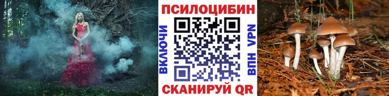 Галлюциногенные грибы Psilocybe  что такое наркотик  Сургут 
