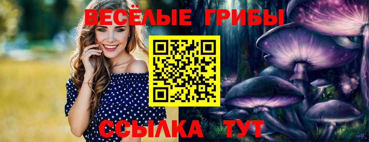 Псилоцибиновые грибы Cubensis Сургут