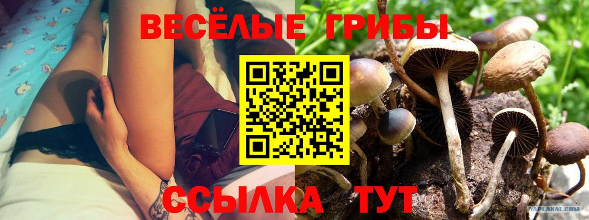 Псилоцибиновые грибы ЛСД  Вход с VPN  Сургут 