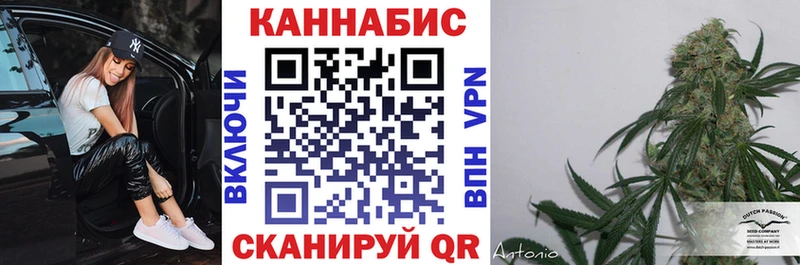 как найти   кракен маркетплейс  Конопля семена  Сургут 